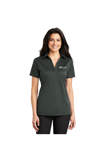 L540 - STEEL GRAY MAINT - ACHIEVE